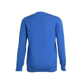 ANTOINE, Men's wool V-neck sweater